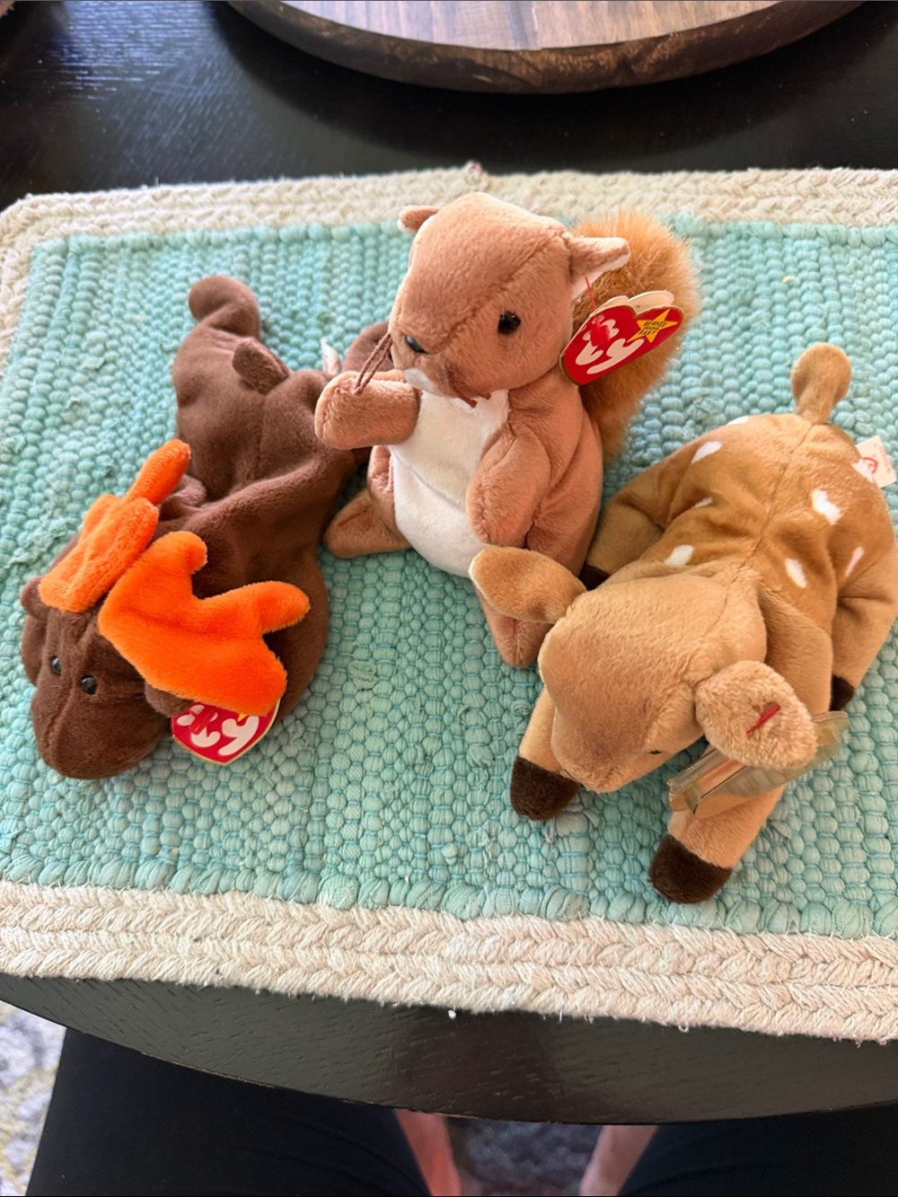 Ty Beanie Babies Plush Forest Animals: Nuts, Chocolate & Whisper Soft Pet Toys